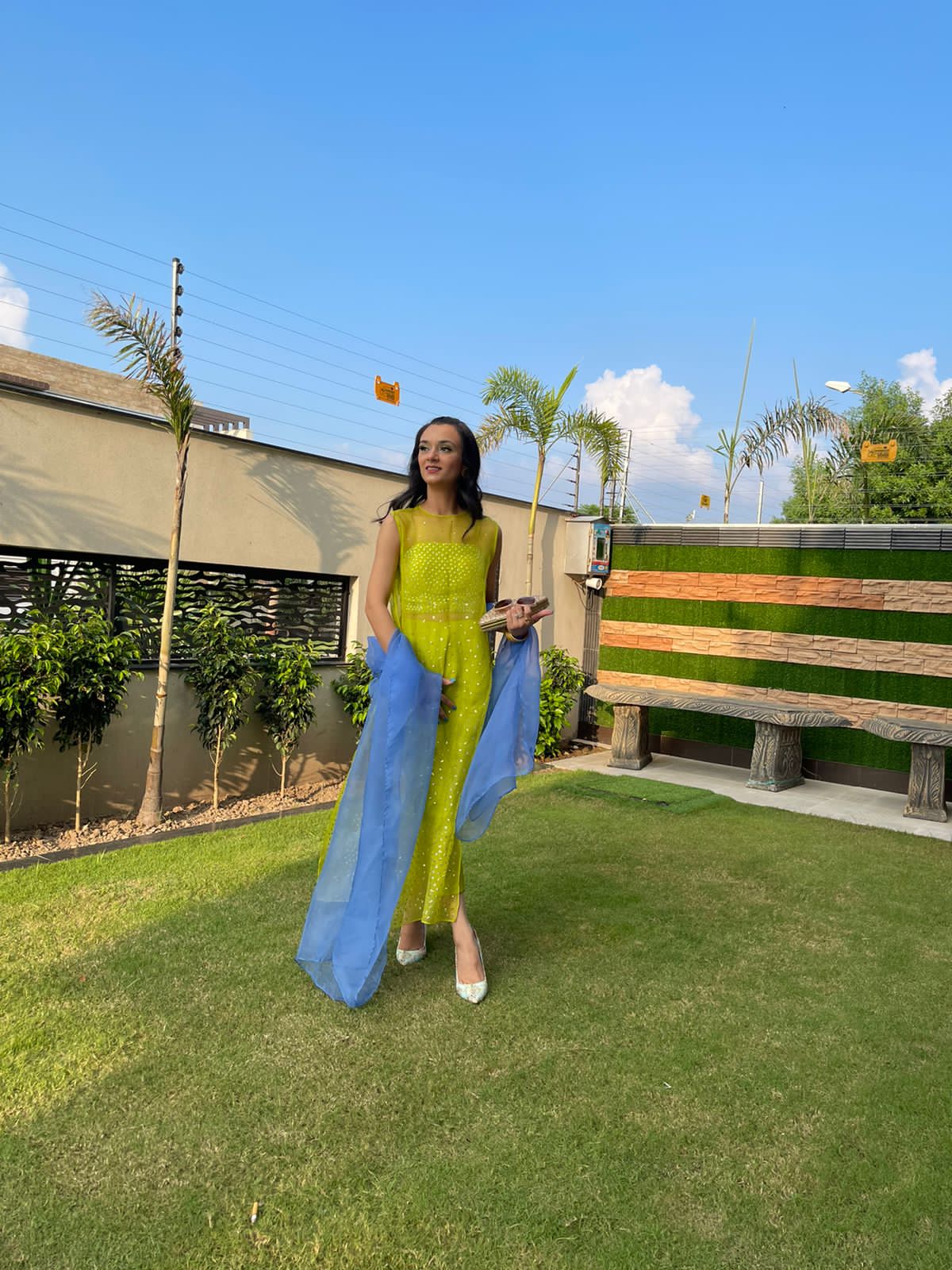 VIBRANT LIME